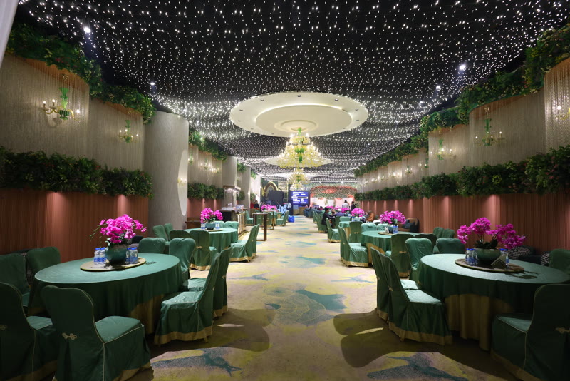 Sangeet and ring ceremony celebration